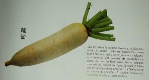 Raphanus sativus, ridichea alba, excelenta in retete asiatice
