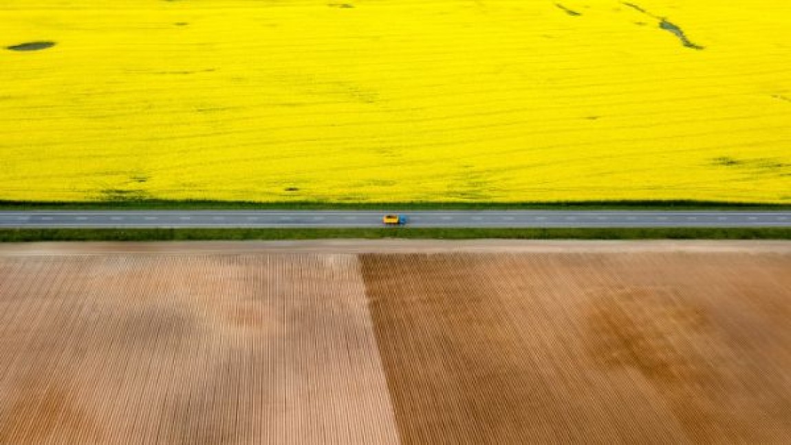 Rapita - atentionari, lucrari specifice perioadei si hibrizii Biocrop