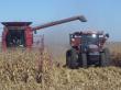 1,4 tone de cereale pe cap de locuitor - bilantul productiei agricole din acest an