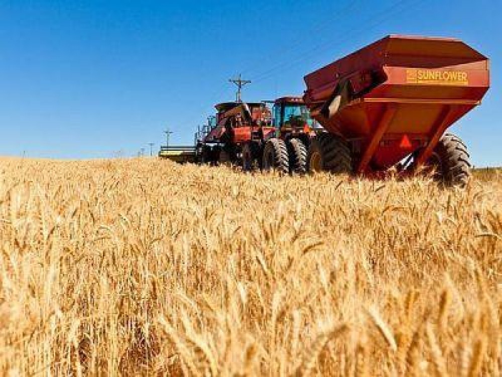Seful MADR lauda din nou productiile record din agricultura