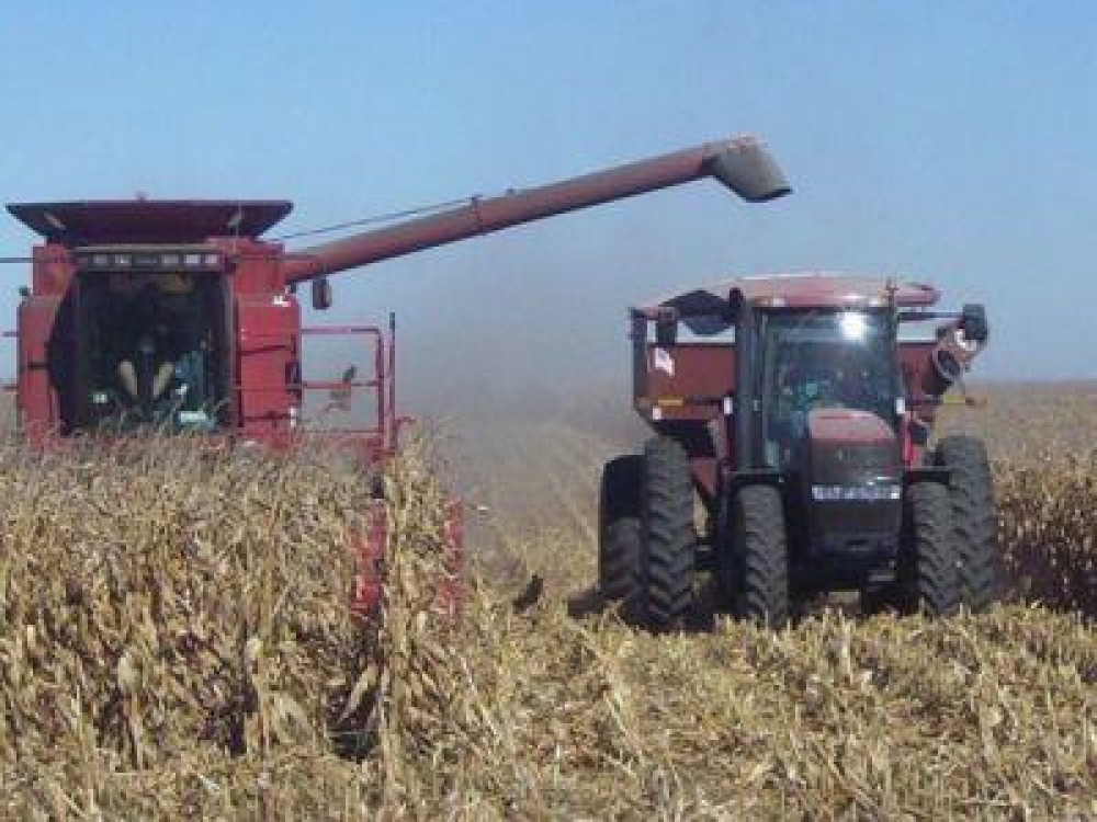 Productiile record din agricultura vor contribui la cresterea PIB-ului pe acest an