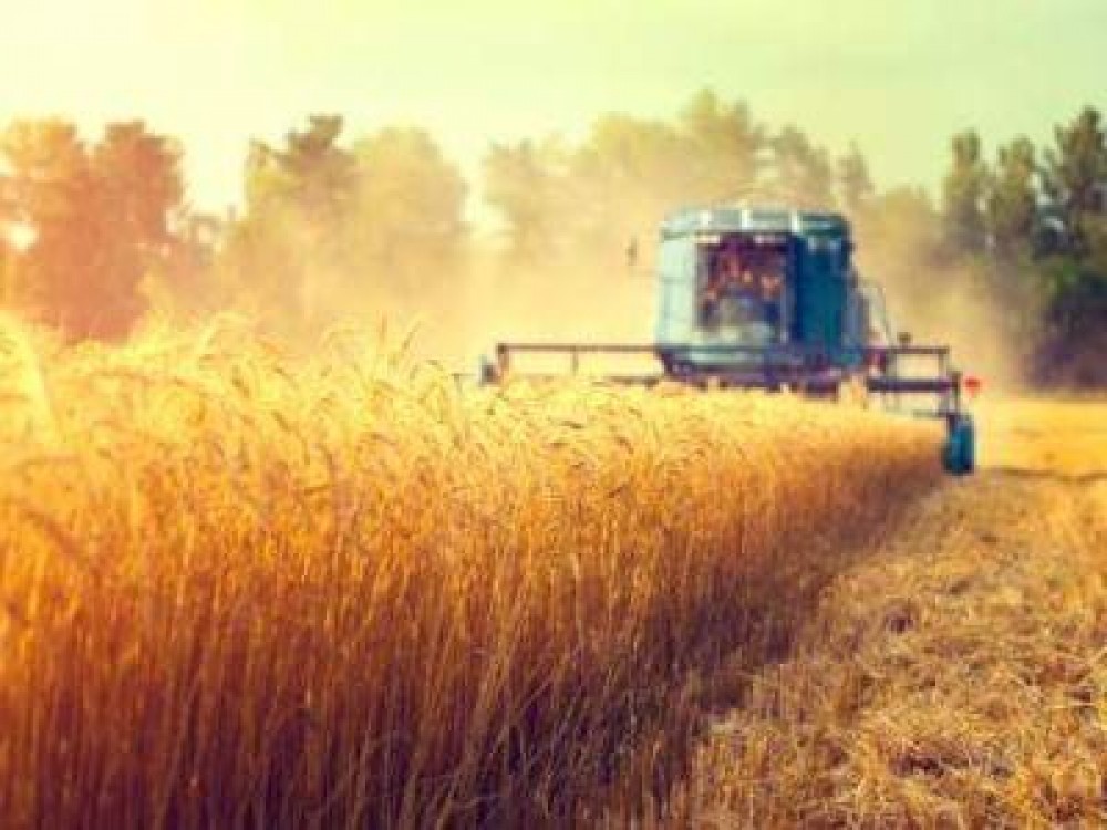 Romania, desemnata cea de-a opta putere agricola a UE in 2016