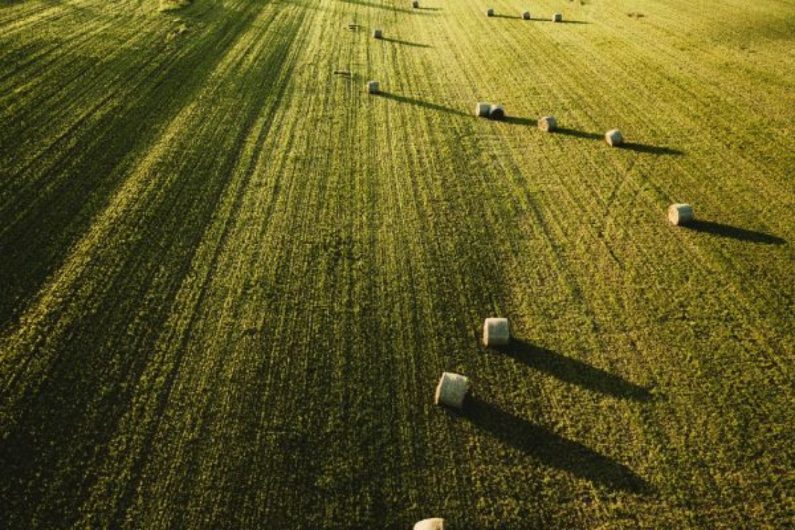 CE vrea sa reduca 40% din banii alocati Romaniei pentru despagubirea fermierilor