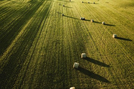 CE vrea sa reduca 40% din banii alocati Romaniei pentru despagubirea fermierilor