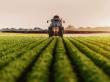 Noi reglementari adoptate privind utilizarea pesticidelor in Romania