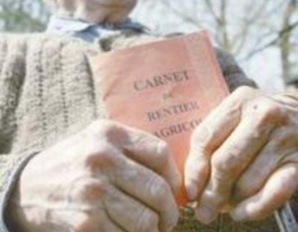 Rentierii trebuie sa se prezinte la APIA pana pe 30 august, pentru vizarea carnetelor