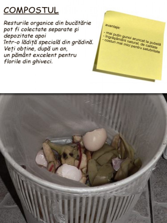 Despre cum mi-am înjumătăţit cantitatea de gunoi. Mormanul de compost din grădină.