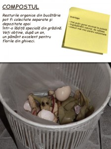 Despre cum mi-am înjumătăţit cantitatea de gunoi. Mormanul de compost din grădină.