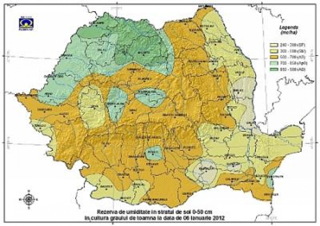 Fermierii din Timis, optimisti in acest an