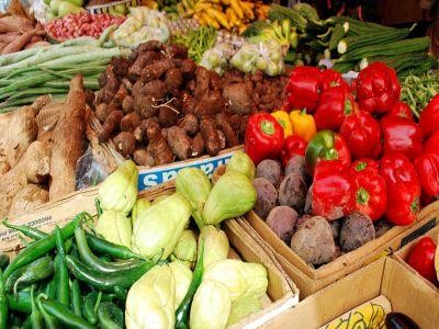 Discutii pe tema Legii privind diminuarea risipei alimentare