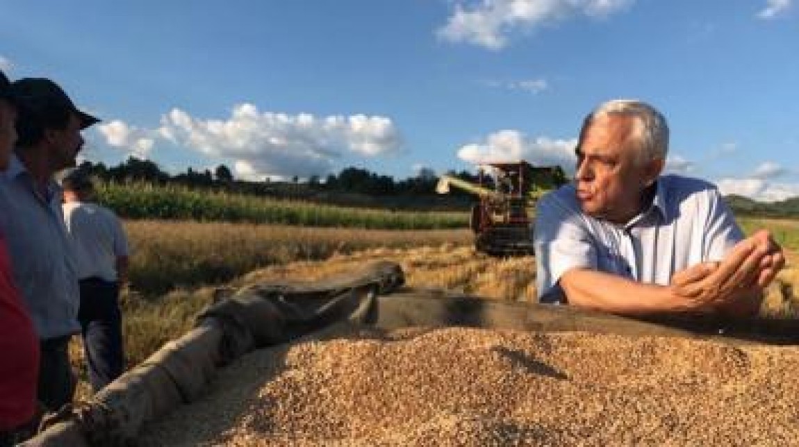 Romania, Bulgaria, Grecia si Polonia au cei mai multi angajati in agricultura