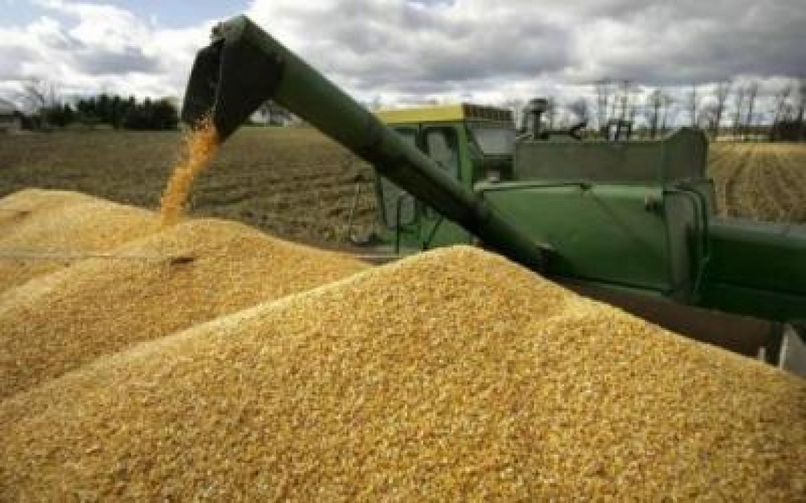 Romania a exportat in doar patru luni 1,7 milioane tone porumb si 1,5 milioane tone grau si meslin