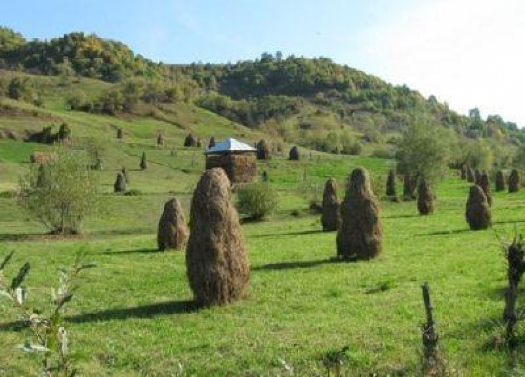 Strategii pentru valorificarea potentialului agroalimentar al Romaniei