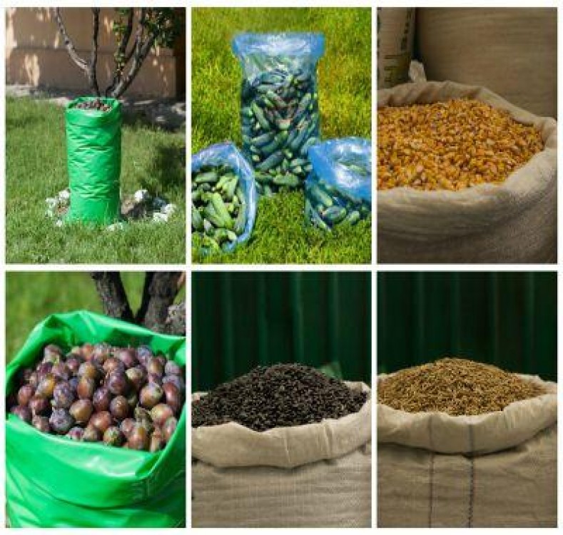 E vremea recoltei: cine asta-toamna a semanat, acum culege roade bogate!