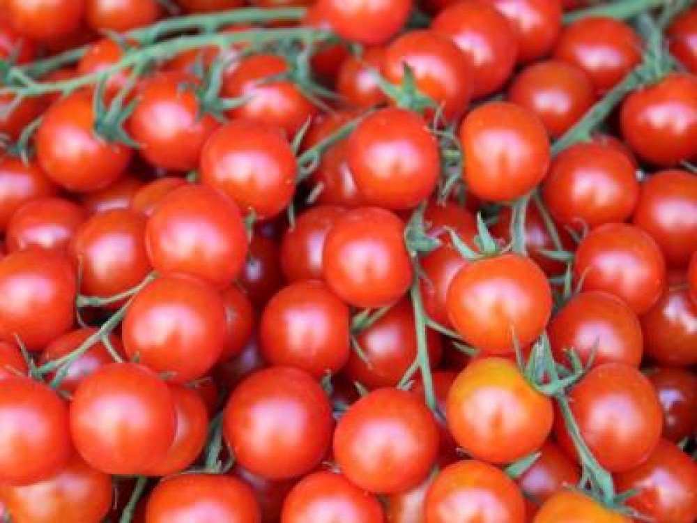 MADR pregateste 60 de milioane de euro pentru fermierii care cultiva rosii