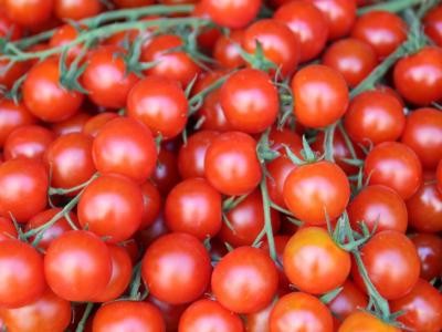 MADR pregateste 60 de milioane de euro pentru fermierii care cultiva rosii