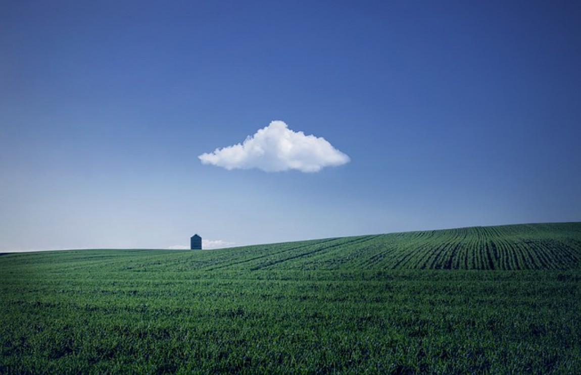 Rural Invest 2022 va permite achizitii flexibile fermierilor