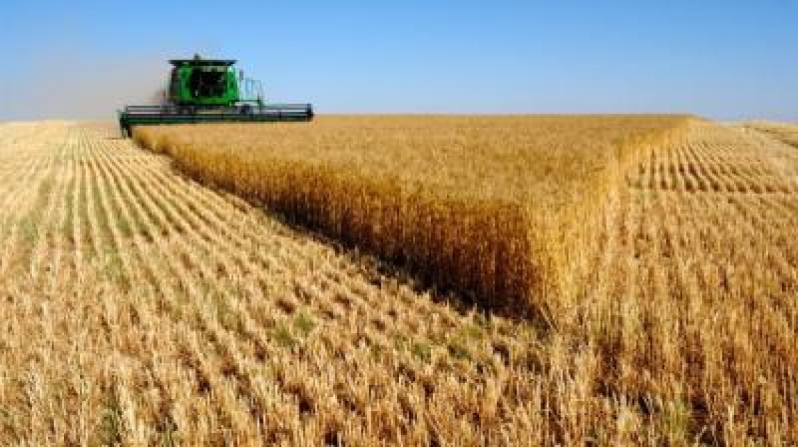 Rusia, din nou cel mai mare exportator de grau din lume