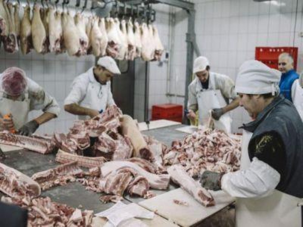 A crescut numarul sacrificarilor de ovine, porcine si caprine
