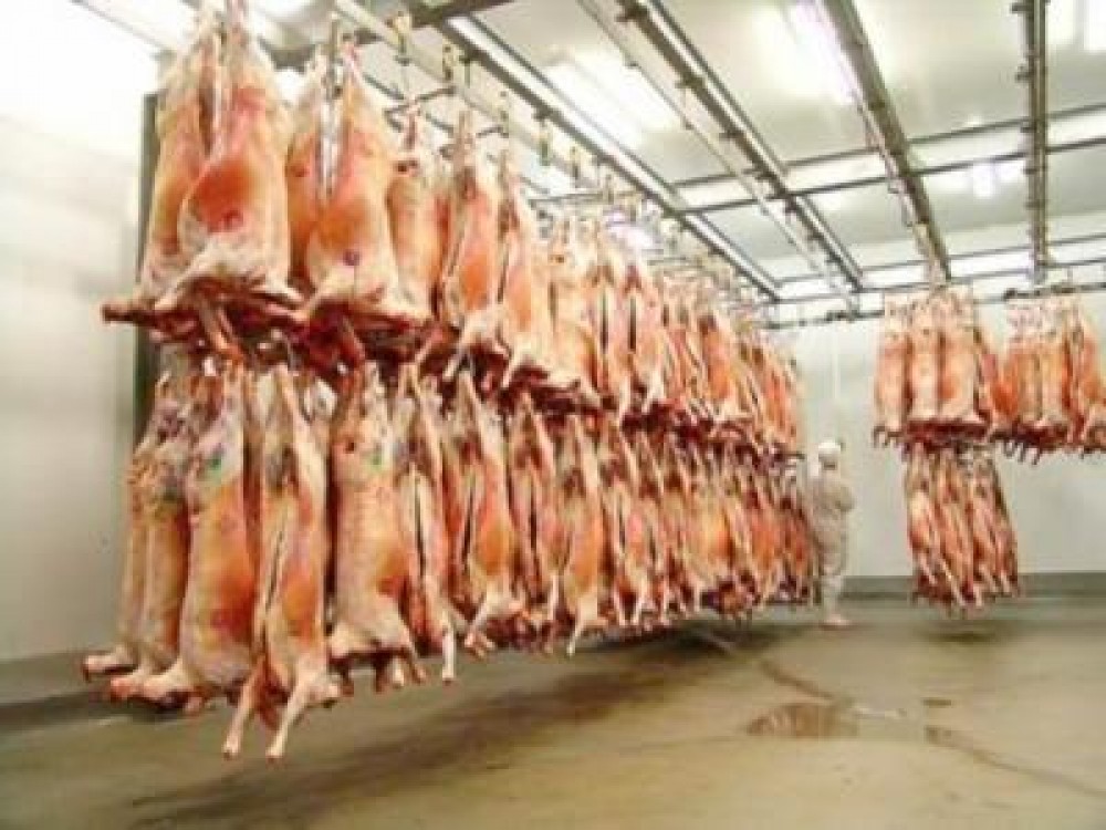 Crestere a sacrificarilor de bovine, porcine, ovine si caprine in 2011