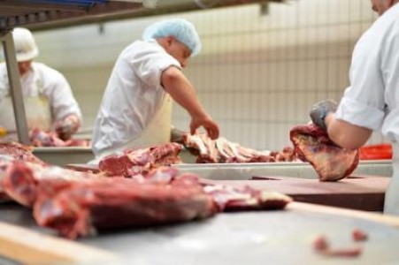 INS: Sacrificarile de animale, in crestere