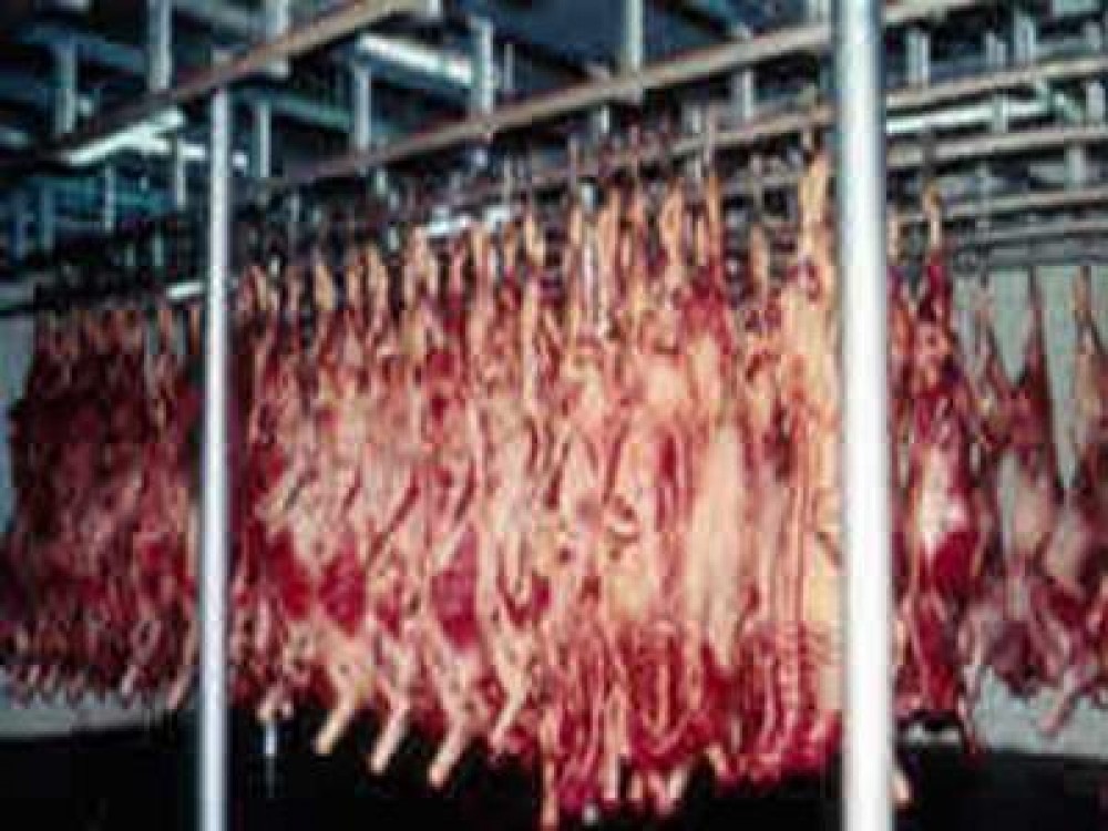 Mai multe animale si pasari sacrificate in ianuarie, fata de anul trecut