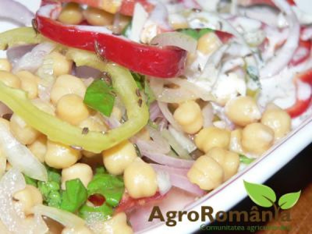 Retete cu naut: salata de vara cu naut