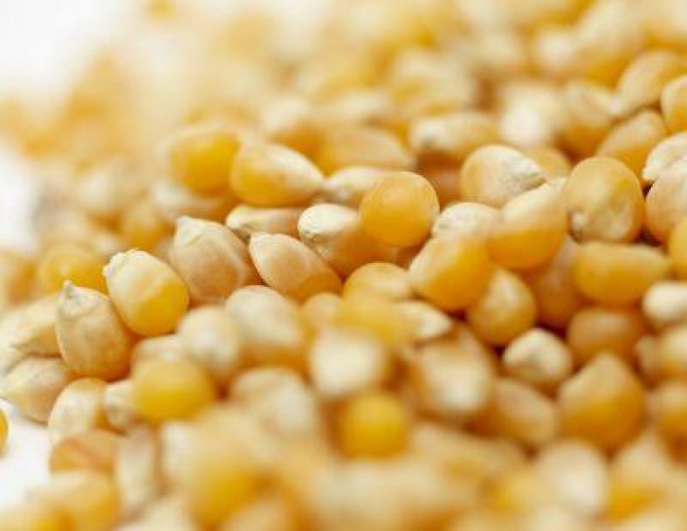 Multinationalele furnizoare de inputuri sar in ajutorul fermierilor nemteni