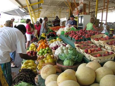 Exporturile cu produse alimentare au crescut cu 54,3% in primele doua luni ale anului, comparativ cu 2013