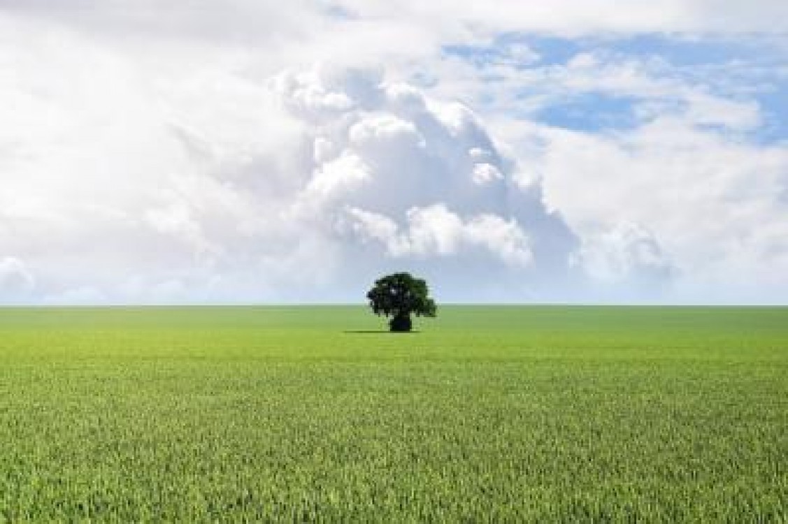 Orasul Tarnaveni preia modelul San Salvo. Agricultorii, uniti sub o singura umbrela