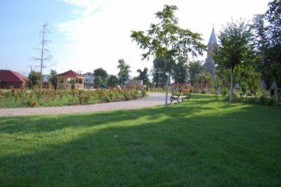 Terenuri agricole Bihor: Alba neagra cu terenuri la Sanmartin