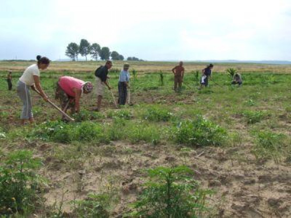 Romania - cea mai mica rata de mecanizare a agriculturii, dintre toata tarile UE