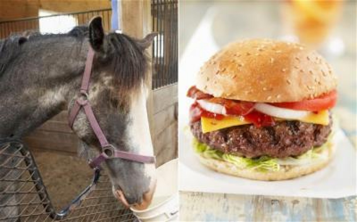 1 an de la scandalul carnii de cal. Producatorii autohtoni de carne inca sufera prejudicii