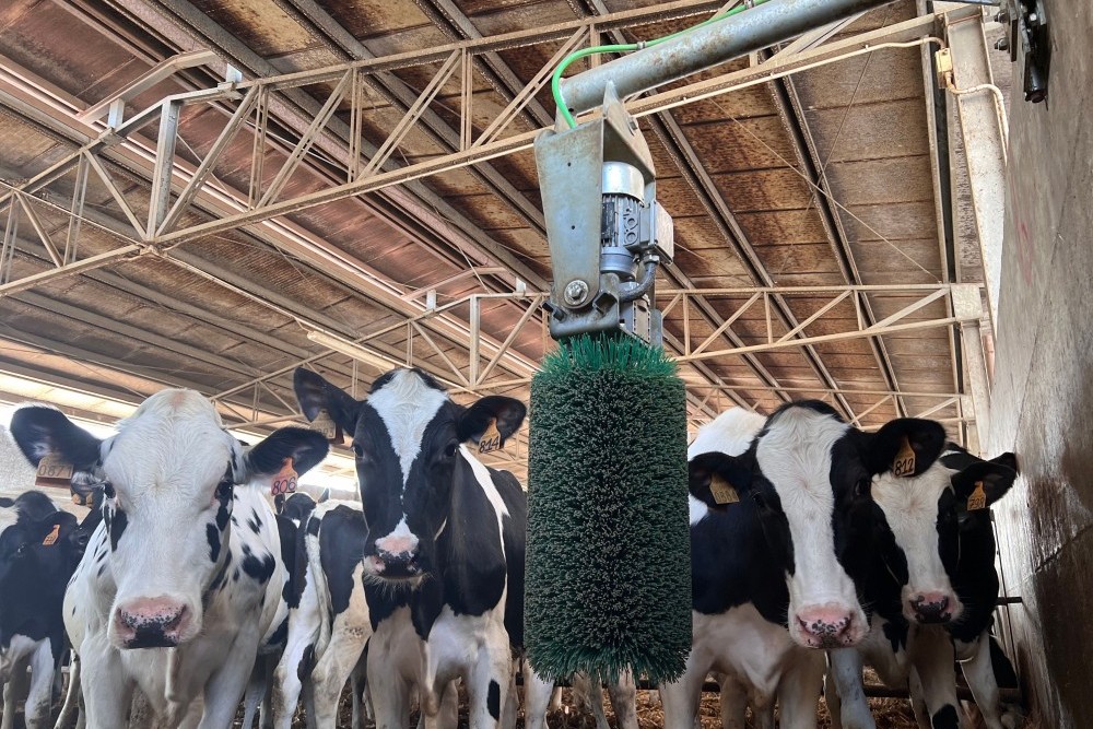 Schema de ajutor DR-23, de 165 milioane euro, pentru producatorii de lactate si alte afaceri, a fost aprobata
