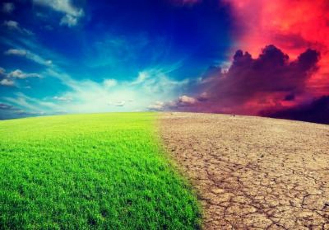 Anumite animale deja nu se mai pot adapta schimbarilor climatice