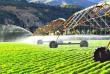 Schimbarile climatice aduc noi investitii in agricultura romaneasca