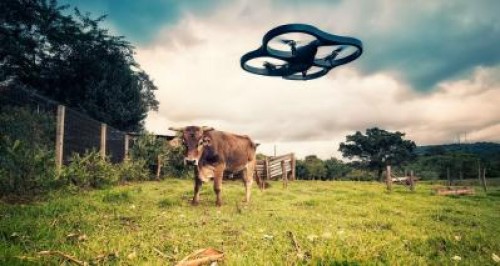 Agricultorii romani trebuie sa aplice noi masuri privind schimbarile climatice