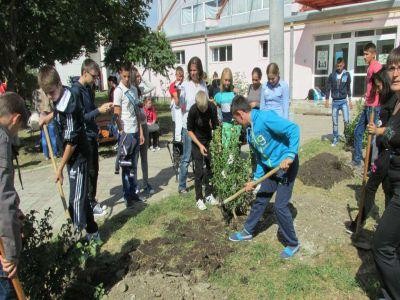 Noi specializari adaptate specificului local, introduse in programa liceelor cu profil agricol