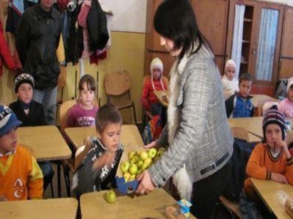 Noutati incluse in Programul pentru scoli