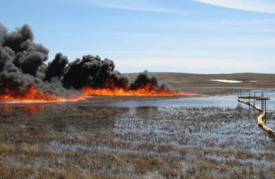 Starea de calamitate din proiectul MADR, un dezastru pentru fermieri