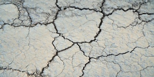 MADR: In conturile fermierilor vor ajunge 50,4 milioane de lei pentru despagubiri