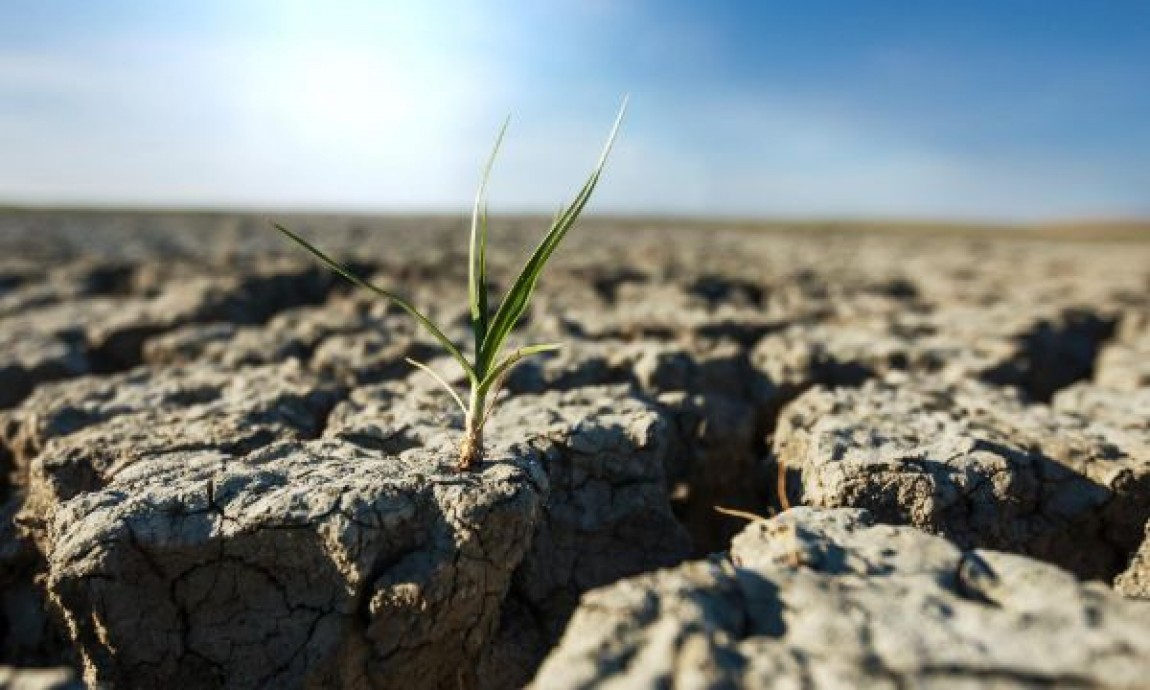 Suprafata agricola afectata de seceta creste