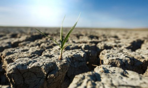 Suprafata agricola afectata de seceta creste
