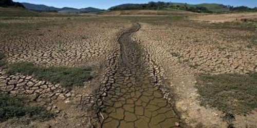MADR: Aproape 3 milioane de hectare, afectate de seceta