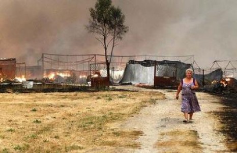 Pierderi de un miliard de euro in agricultura Rusiei, datorita secetei