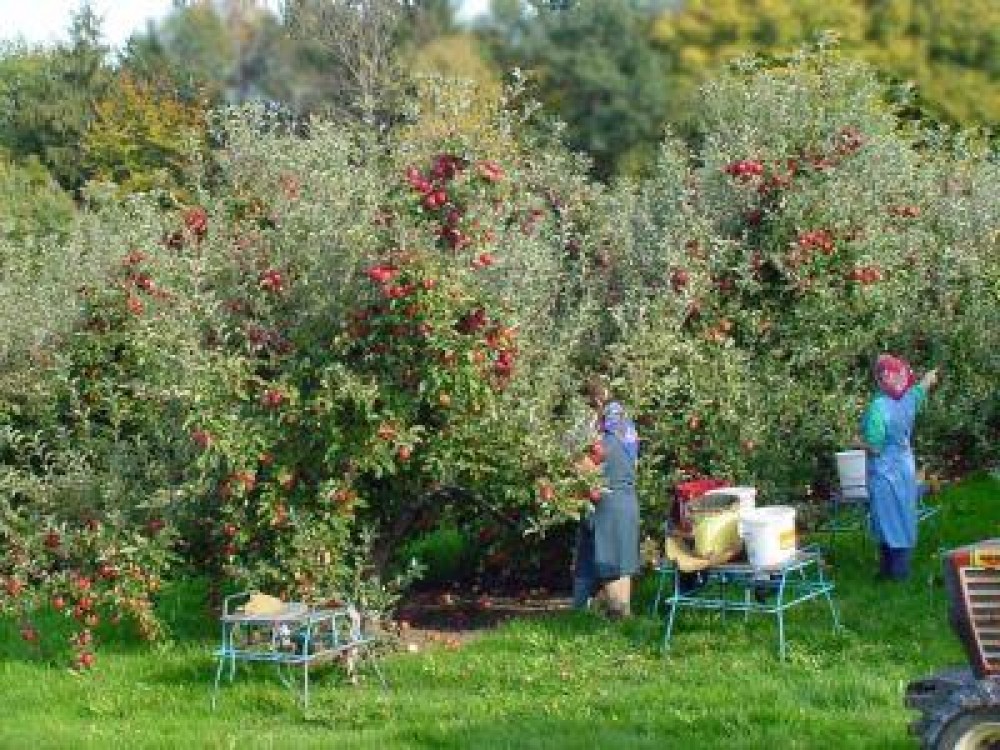 Lansarea sesiunii de depunere proiecte in cadrul masurii 16 si a submasurilor 16.1 si 16.1a
