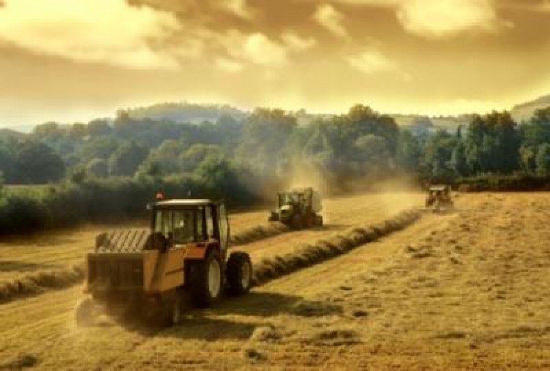Noile politici agricole si securitatea alimentara in conditiile schimbarilor climatice