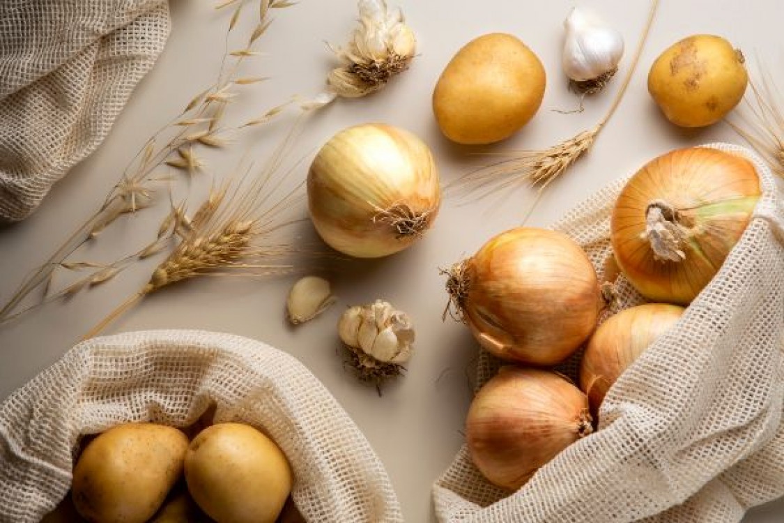 Tehnologia de cultivare a cepei prin semanat direct