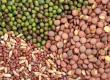 Ministerul Agriculturii vrea o baza de date cu furnizorii de seminte pentru agricultura ecologica