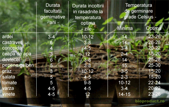 calitatea-si-verificarea-semintelor-inainte-de-semanat-in-agricultura-ecologica